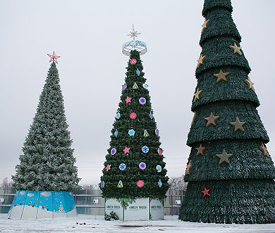 Каркасные ёлки в Белгороде