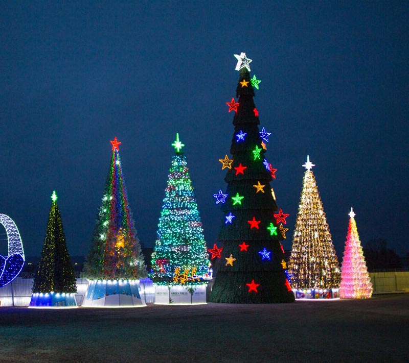 Уличные ёлки в Белгороде